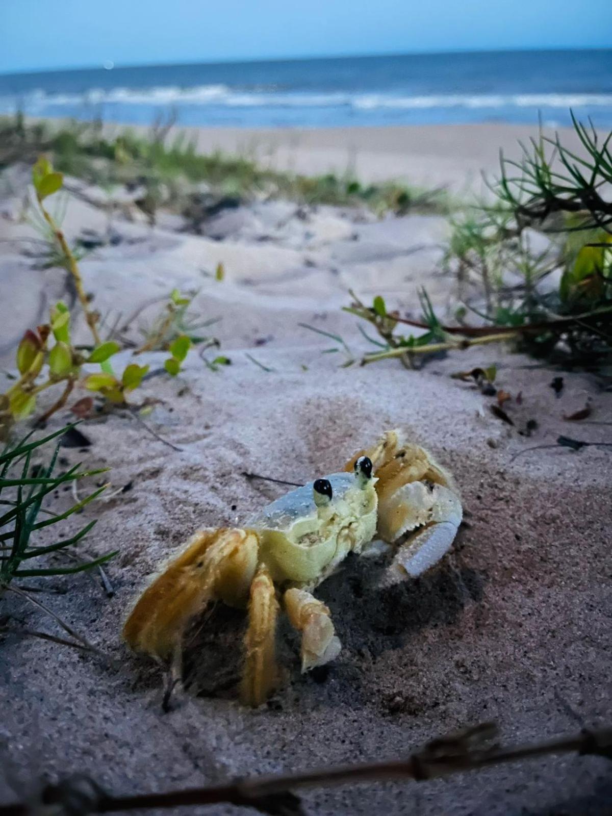 Franz Beach Nova Viçosa 外观 照片